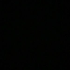 Meet your Posher, Lillian